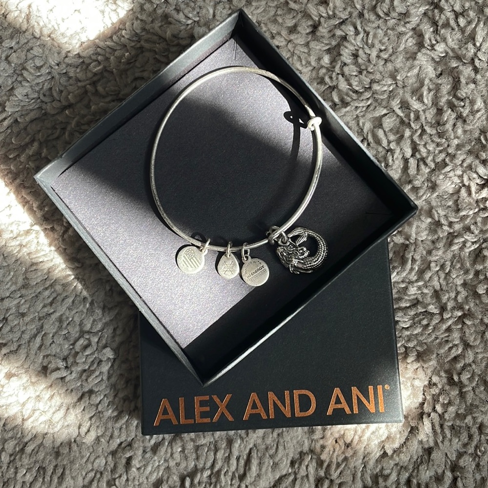 Alex and Ani Charm Bracelet